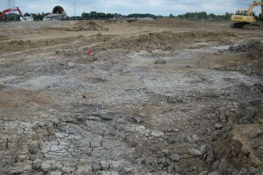 Überschwemmung als Glücksfall – Ein über 2000 Jahre alter naturheiliger Platz in Delbrück-Bentfeld